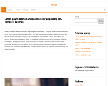TELECOMM SYSTEMS Centrum Serwisowe_