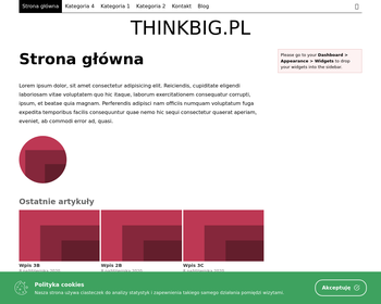 Europejski Importer Sprzętu Wędkarskiego Think Big Polska_