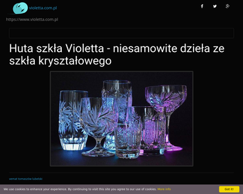 Huta Szkła Kryształowego VIOLETTA SA_