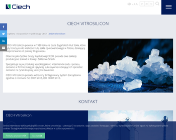 VITROSILICON SA_