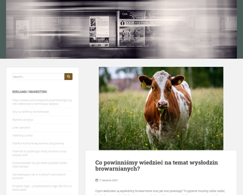 Informacja i Ochrona Patentowa - Adela Struska_Array