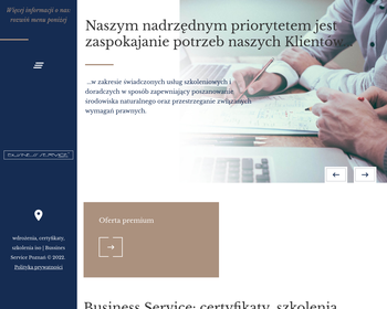 Business Solutions Sp  z o o_Array