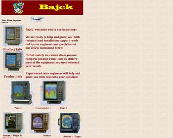 BAJCK GROUP ApS Przedstawicielstwo w Polsce_Array