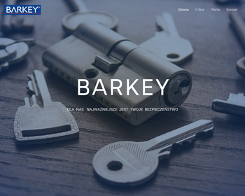 Firma Zabezpieczeniowa BARKEY Jarosław Barszcz_Array