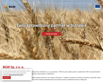 BGW Wielobranżowe Przedsiębiorstwo Handlowe Sp  z o o_Array