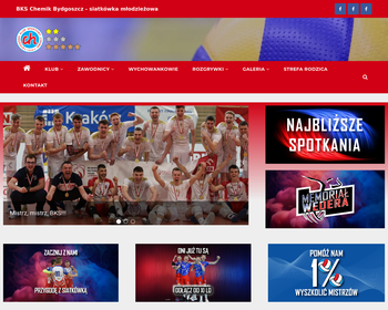 Bydgoski Klub Sportowy Chemik_Array