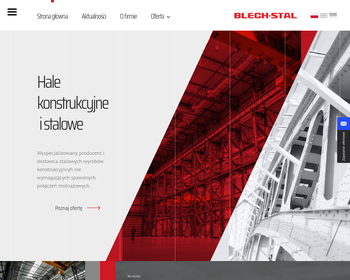 Blech-Stal_Array