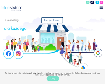 BLUES VISION Internet Marketing_Array