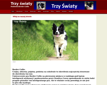 TRZY ŚWIATY_Array