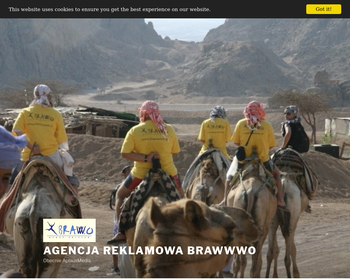 Brawo Sp  Z O o_Array