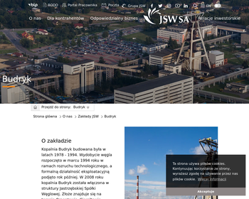 Kopalnia Węgla Kamiennego BUDRYK SA_Array