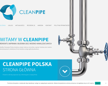Cleanpipe Polska Sp  z o o_Array