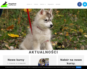 Dogsford - szkolenie psów metodami pozytywnymi  Psie przedszkole_Array
