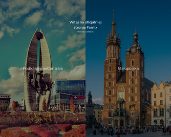 Przedsiębiorstwo Handlowe FAMIX S  i G  Tarnowscy S j_Array