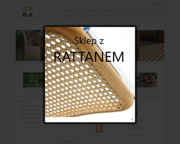 Gaba 2 Sp  z o o_Array