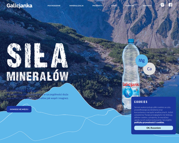 GALICJANKA Ltd Przedsiębiorstwo Produkcyjno-Handlowo-Usługowe Sp_Array