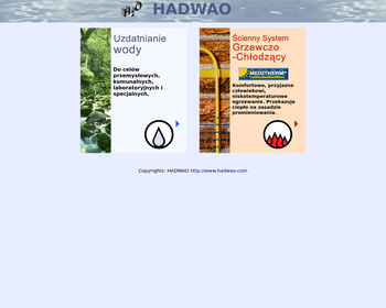 HADWAO Bolesław Braun-Walicki_Array