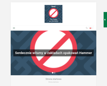 HAMMER Sp  z o o_Array