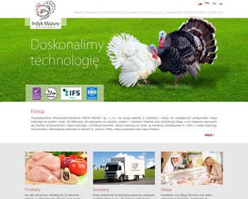 INDYK-MAZURY Sp  z o o_Array