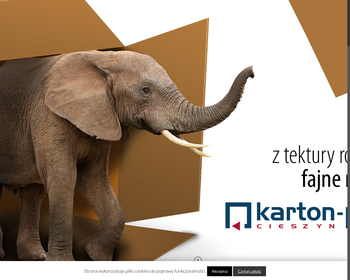 Zakład Produkcji Opakowań z Tektury KARTON-PAK Zbigniew Pieczonka_Array