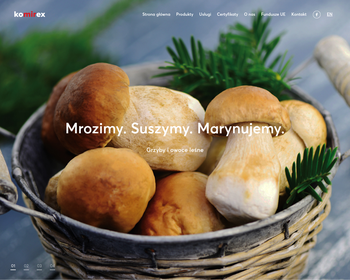 Przedsiębiorstwo Produkcyjno-Usługowo-Handlowe KOMIREX S j_Array
