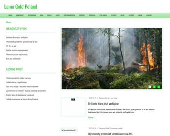 LAMA GOLD POLAND Sp  z o o_Array