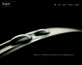 Lespol Agencja reklamowa_Array