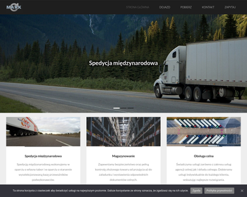 Agencja Celna MARK_Array