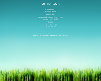 Musicland Sklep Muzyczny_Array