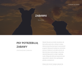 Ochałek Tadeusz  Usługi ogółlnobudowlane_Array