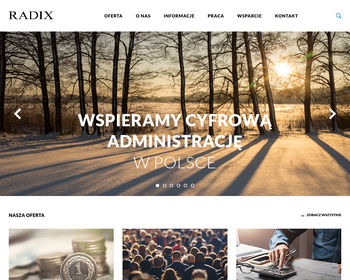 Systemy Komputerowe RADIX_Array