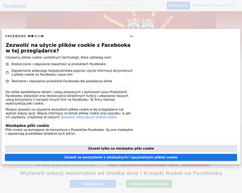 Przedsiębiorstwo Robót Energetyczno-Budowlanych BUDREM_Array