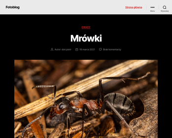 ASPOL-SERWIS Andrzej Sawicki_Array