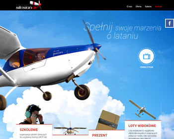 Regionalne Linie Lotnicze SILESIAN AIR Sp  z o o_Array