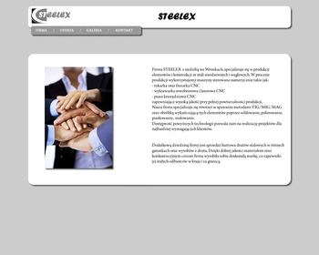 Steelex Company_Array
