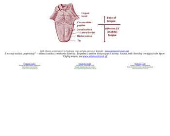 TONSIL SA_Array