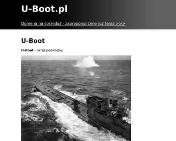 BRAINSHOP U-BOOT Sp  z o o_Array