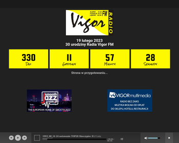 Radio VIGOR_Array