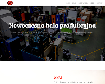 Przedsiębiorstwo Produkcyjno-Usługowo-Handlowe ZeTguma_Array